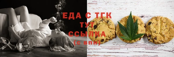 индика Бугульма