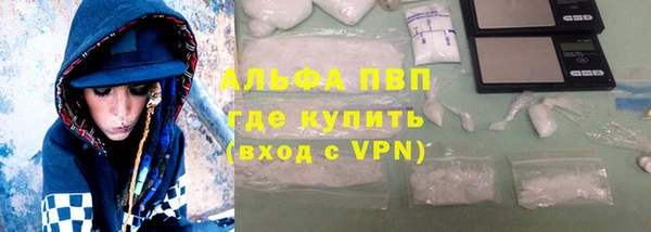 индика Бородино