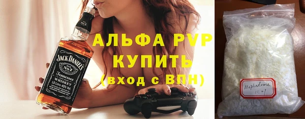 индика Бородино