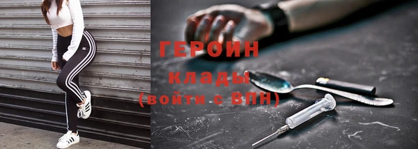 индика Бородино