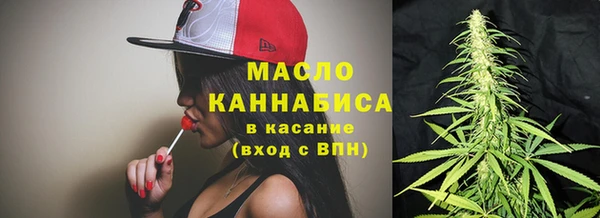 индика Бородино