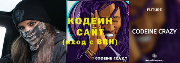 индика Бугульма