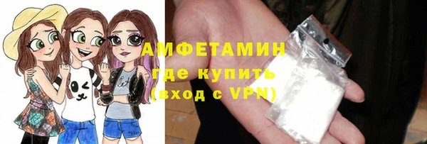 индика Бугульма