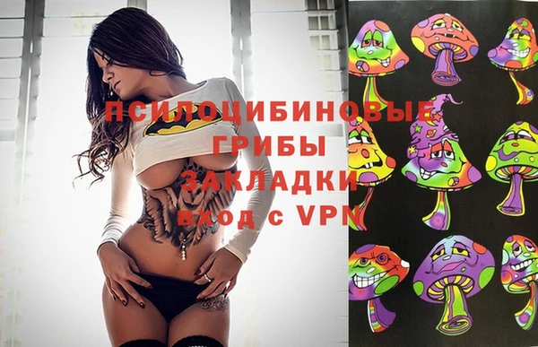 дмт Бронницы