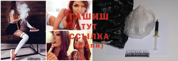 индика Бородино