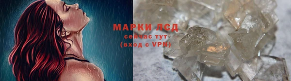 индика Бородино