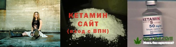 индика Бородино