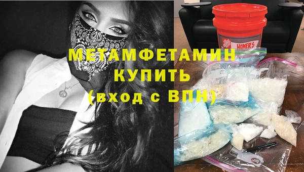 индика Бородино