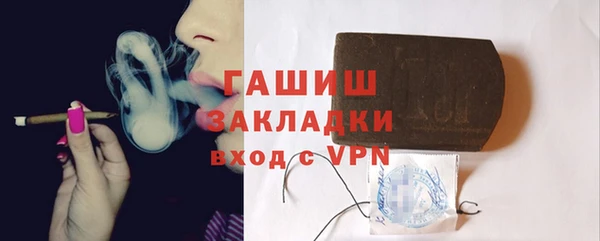 индика Бородино