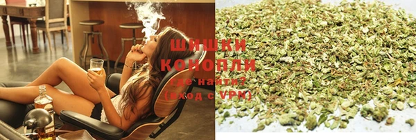 индика Бородино