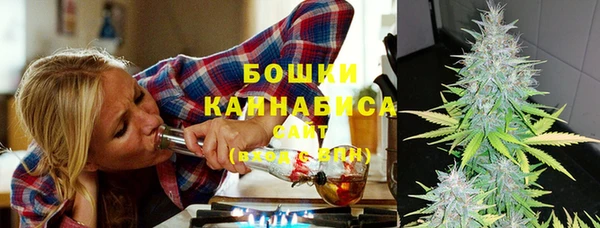 индика Бородино