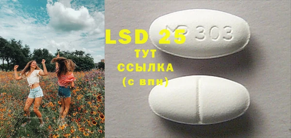 индика Бородино