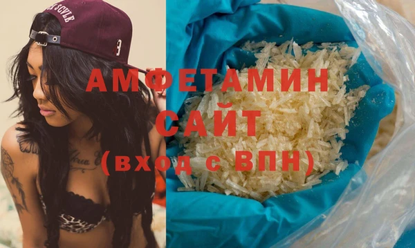 индика Бородино