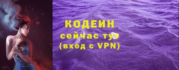 индика Бугульма