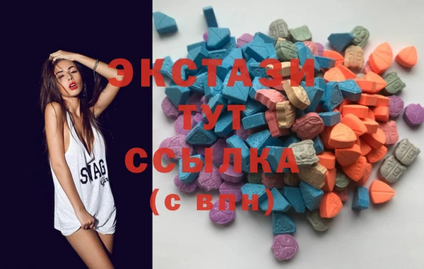 индика Бугульма