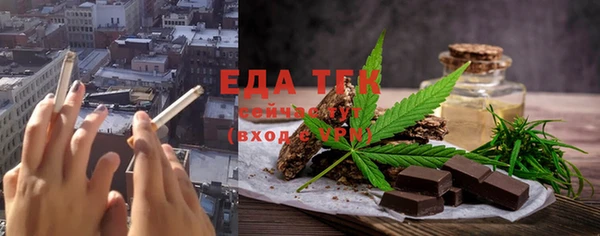 индика Бородино