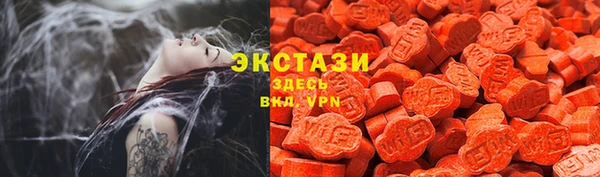 индика Бородино