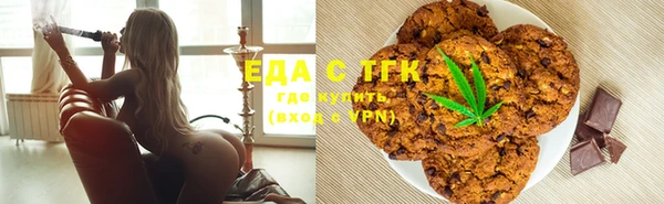 индика Бородино