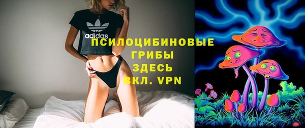 индика Бородино