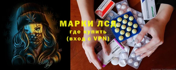 индика Бугульма
